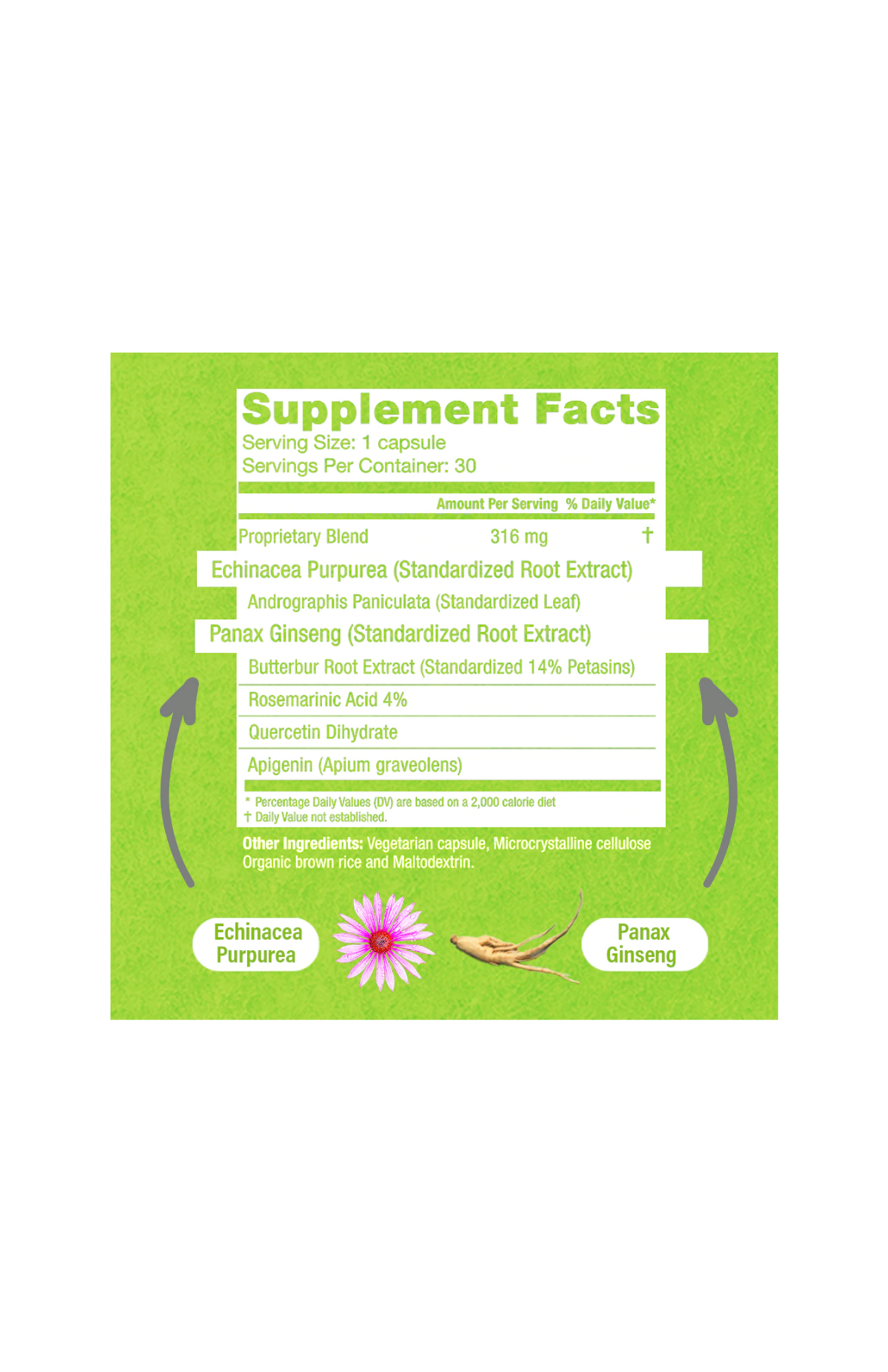 HybridAR: Rapid Nasal & Sinus Support