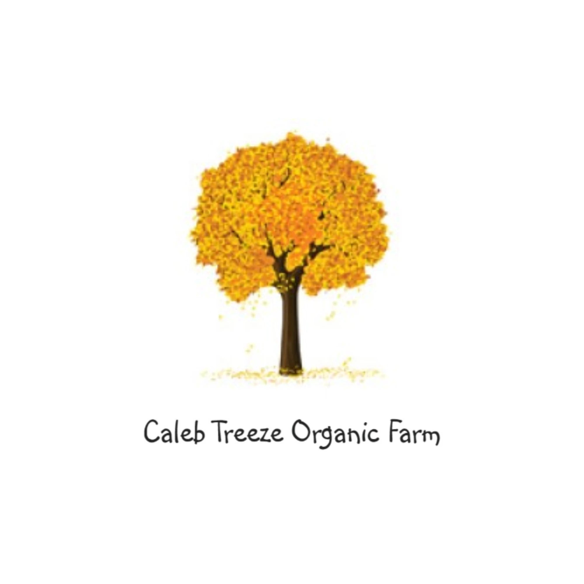 Caleb Treeze Organic Farm – Chambers Apothecary
